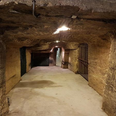 Chateau Fleur De Roques - Puisseguin Saint Emilion Bagian luar foto