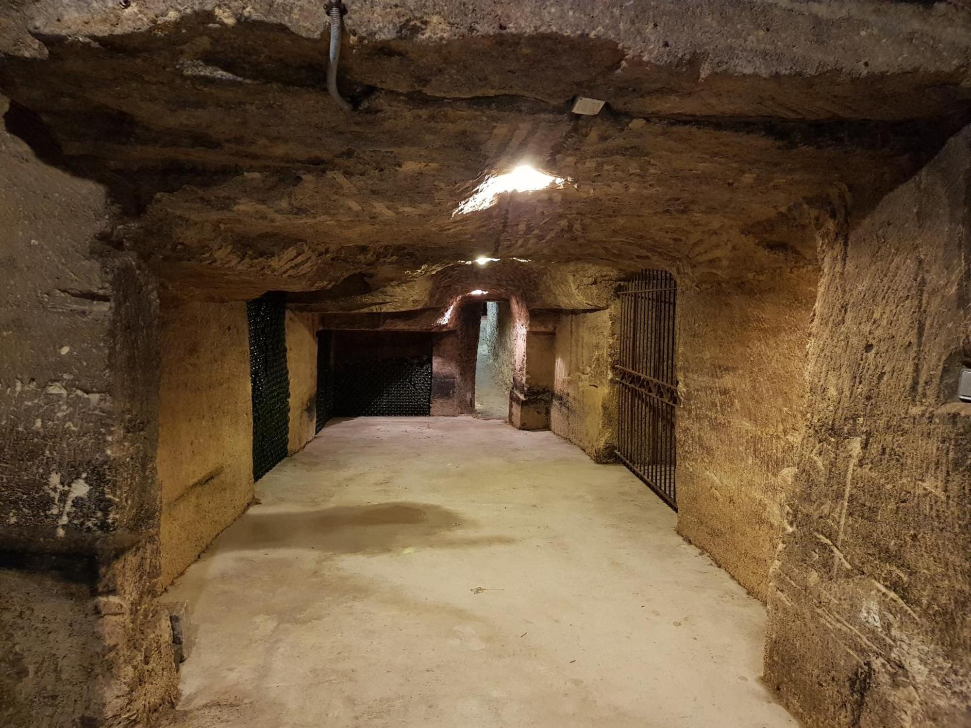 Chateau Fleur De Roques - Puisseguin Saint Emilion Bagian luar foto