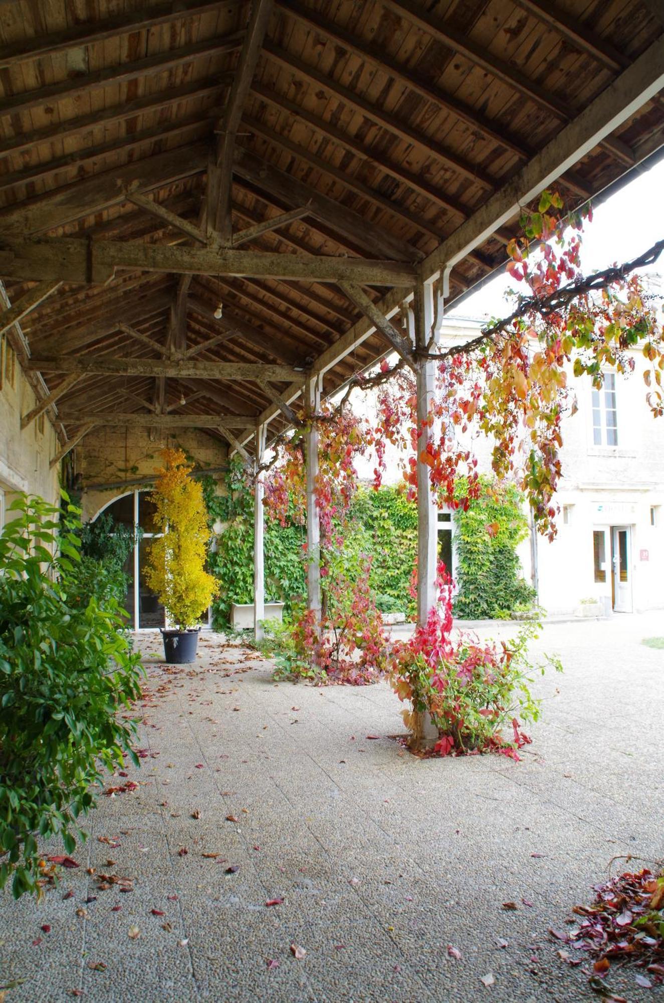Chateau Fleur De Roques - Puisseguin Saint Emilion Bagian luar foto