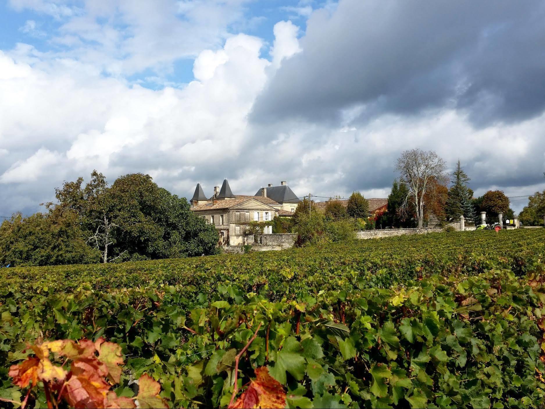 Chateau Fleur De Roques - Puisseguin Saint Emilion Bagian luar foto