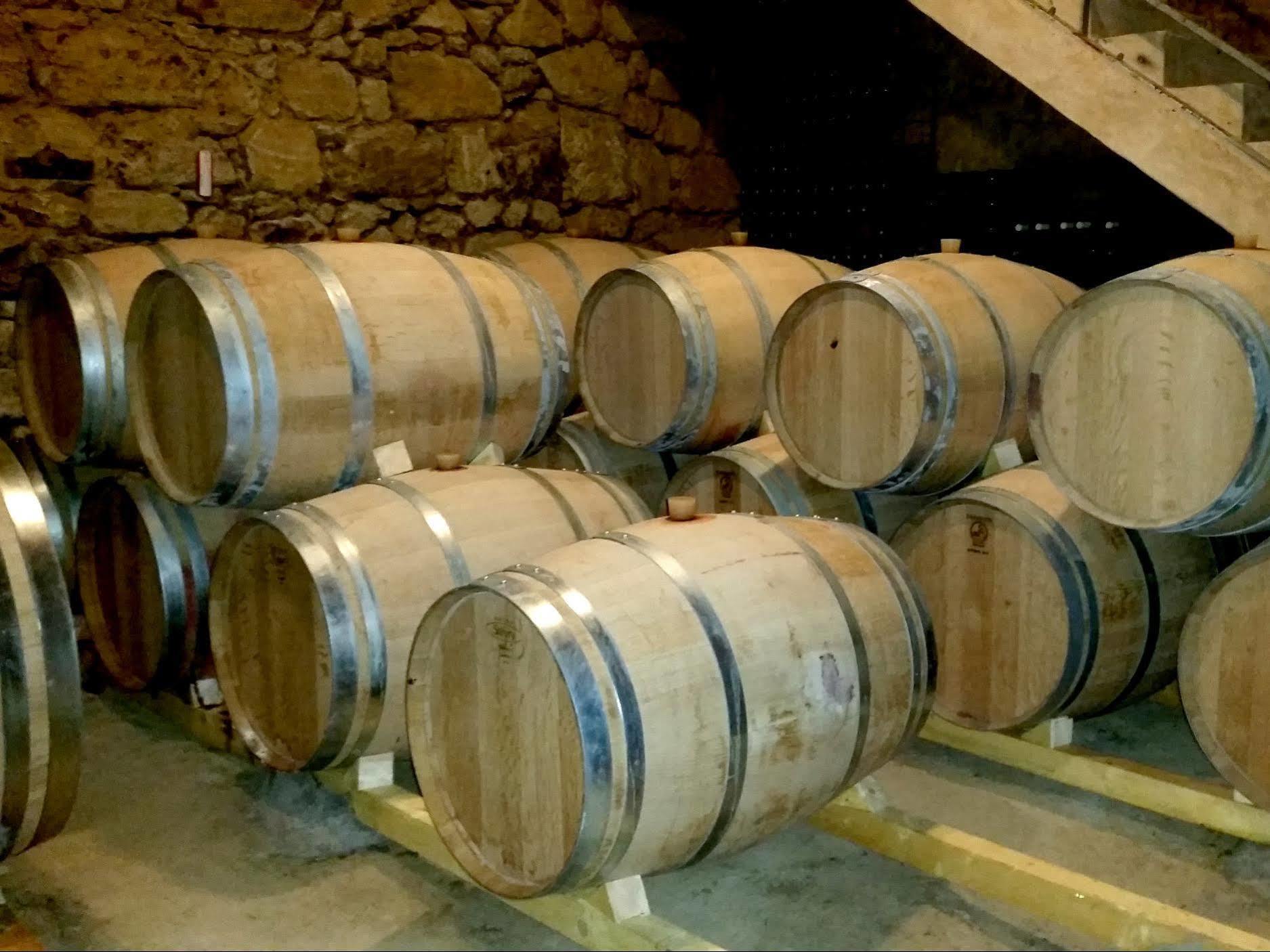 Chateau Fleur De Roques - Puisseguin Saint Emilion Bagian luar foto